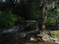 71178 - Footsteps of Paul - Philippi.JPG